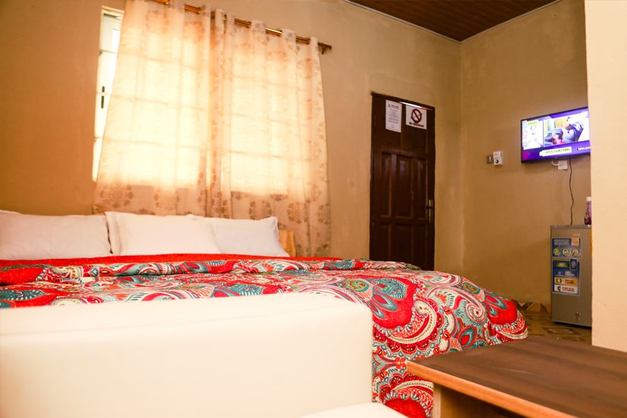 Standard room: queen-size bed and wall-mounted TV